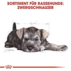 Royal Canin Mini Schnauzer Puppy - Hundefutter -ROYAL CANIN Store royal canin mini schnauzer puppy hondenvoer 140182 0500 none