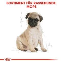 Royal Canin Pug Puppy - Hundefutter -ROYAL CANIN Store royal canin pug puppy hondenvoer 139885 0500 none