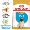 Royal Canin Pug Puppy - Hundefutter