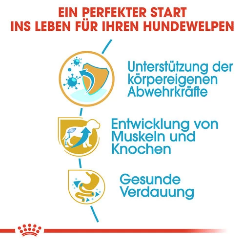 Royal Canin Rottweiler Puppy - Hundefutter 2 Royal Canin Rottweiler Puppy - Hundefutter – Bild 2