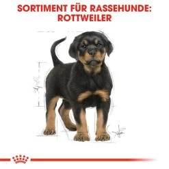 Royal Canin Rottweiler Puppy - Hundefutter 11 Royal Canin Rottweiler Puppy - Hundefutter -ROYAL CANIN Store royal canin rottweiler puppy hondenvoer 140029 0500 none
