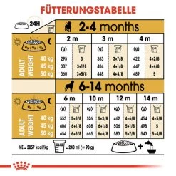 Royal Canin Rottweiler Puppy - Hundefutter 14 Royal Canin Rottweiler Puppy - Hundefutter -ROYAL CANIN Store royal canin rottweiler puppy hondenvoer 140038 0500 none