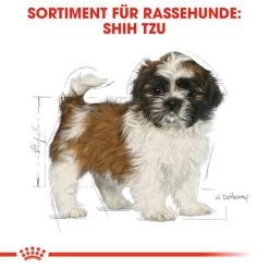 Royal Canin Shih Tzu Puppy - Hundefutter -ROYAL CANIN Store royal canin shih tzu junior hondenvoer 140411 0500 none