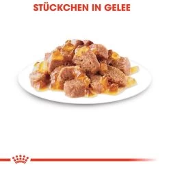 Royal Canin Sterilised In Jelly - Katzenfutter -ROYAL CANIN Store royal canin sterilised in jelly kattenvoer 128144 0500 none