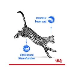 Royal Canin Sterilised Indoor 7+ In Gravy 14 Royal Canin Sterilised Indoor 7+ In Gravy -ROYAL CANIN Store royal canin sterilised indoor 7 in gravy kattenvoer 165253 0500 none