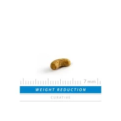 SANIMED Weight Reduction Dog 6 SANIMED Weight Reduction Dog -ROYAL CANIN Store sanimed weight reduction dog 165226 0500 none