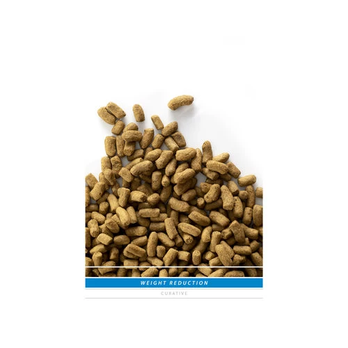 SANIMED Weight Reduction Dog 2 SANIMED Weight Reduction Dog - Image 2