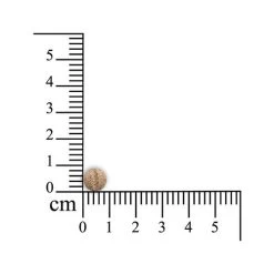 Sensipharm Inconti Stop - Kleine Haustiere 5 Sensipharm Inconti Stop - Kleine Haustiere -ROYAL CANIN Store sensipharm inconti stop kleine huisdieren 174856 0500 none