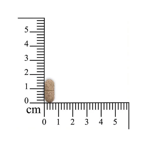 Monoderma Dry Hunde 3 Monoderma Dry Hunde – Bild 3