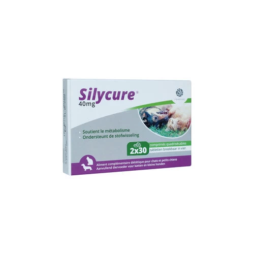 Silycure 2 Silycure - Image 2
