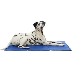 Trixie Kühlmatte 5 Trixie Kühlmatte -ROYAL CANIN Store trixie cooling mat 209390 0500 none