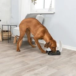 Trixie Doppel-Futterautomat TX2 5 Trixie Doppel-Futterautomat TX2 -ROYAL CANIN Store trixie dubbele voederautomaat tx2 170914 0500 none