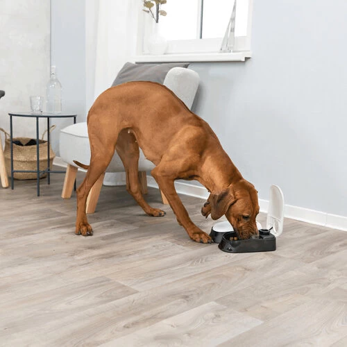 Trixie Doppel-Futterautomat TX2 3 Trixie Doppel-Futterautomat TX2 - Image 3