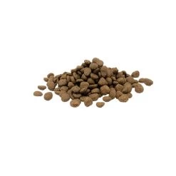 Versele-Laga Opti Life Sensitive 6 Versele-Laga Opti Life Sensitive -ROYAL CANIN Store versele laga opti life sensitive 199883 0500 none