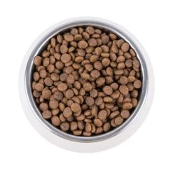 Vetality Renal - Katzenfutter -ROYAL CANIN Store vetality renal kattenvoer 195263 0500 none