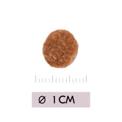 Vetality Renal - Katzenfutter -ROYAL CANIN Store vetality renal kattenvoer 195458 0500 none