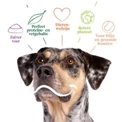 Yarrah - Bio Trockenfutter Vega Getreidefrei 7 Yarrah - Bio Trockenfutter Vega Getreidefrei -ROYAL CANIN Store yarrah bio droogvoer hond vega graanvrij 201212 0500 none