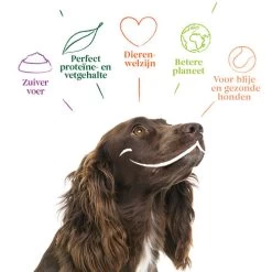 Yarrah - Hundefutter In Soße Vega Mit Hagebutten Bio -ROYAL CANIN Store yarrah bio natvoer hond kuipje chunks vega 200843 0500 none