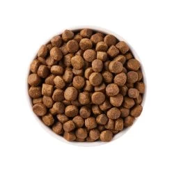 Yarrah - Getreidefreies Trockenfutter Bio -ROYAL CANIN Store yarrah droogvoer hond graanvrij bio 188424 0500 none