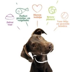 Yarrah - Getreidefreies Trockenfutter Bio -ROYAL CANIN Store yarrah droogvoer hond graanvrij bio 201170 0500 none