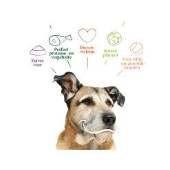 Yarrah - Trockenfutter Senior Mit Huhn, Fisch Und Kräutern Bio 7 Yarrah - Trockenfutter Senior Mit Huhn, Fisch Und Kräutern Bio -ROYAL CANIN Store yarrah droogvoer hond senior bio 201146 0500 none