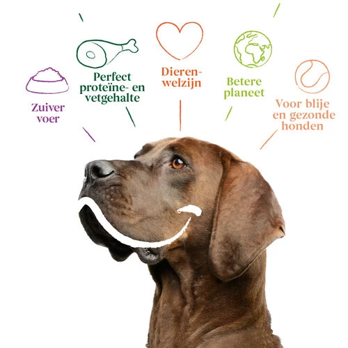 Yarrah - Trockenfutter Sensitiv Mit Huhn Und Reis Bio 3 Yarrah - Trockenfutter Sensitiv Mit Huhn Und Reis Bio - Image 3