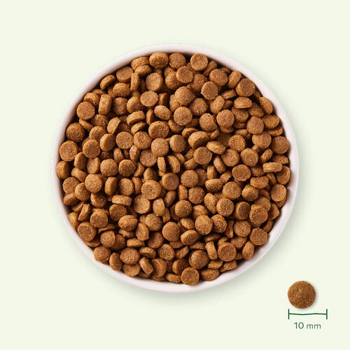 Yarrah - Trockenfutter Für Welpen Mit Huhn Bio 3 Yarrah - Trockenfutter Für Welpen Mit Huhn Bio - Image 3