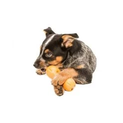 Zogoflex Qwizl 7 Zogoflex Qwizl -ROYAL CANIN Store zogoflex qwizl 136852 0500 none