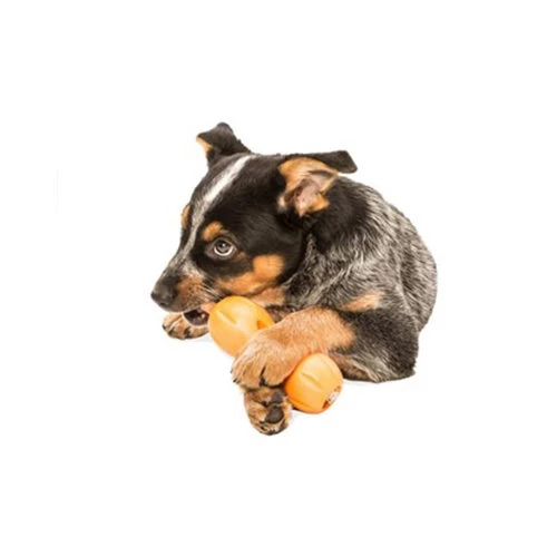 Zogoflex Qwizl 3 Zogoflex Qwizl – Bild 3