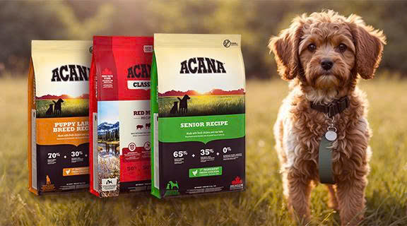 ROYAL CANIN Store -ROYAL CANIN Store z6641613029503 7bbb5db4ac1f7dafc4c99e9862e97cdf