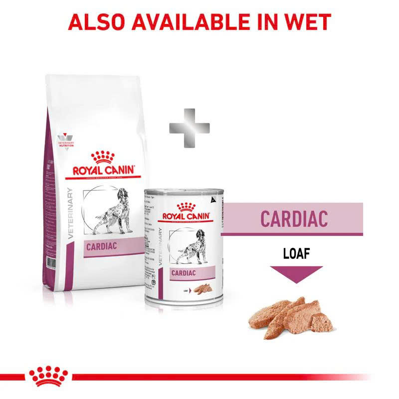ROYAL CANIN Store -ROYAL CANIN Store z6641613145119 4224686fc6a916bd751deec2f2ebced9