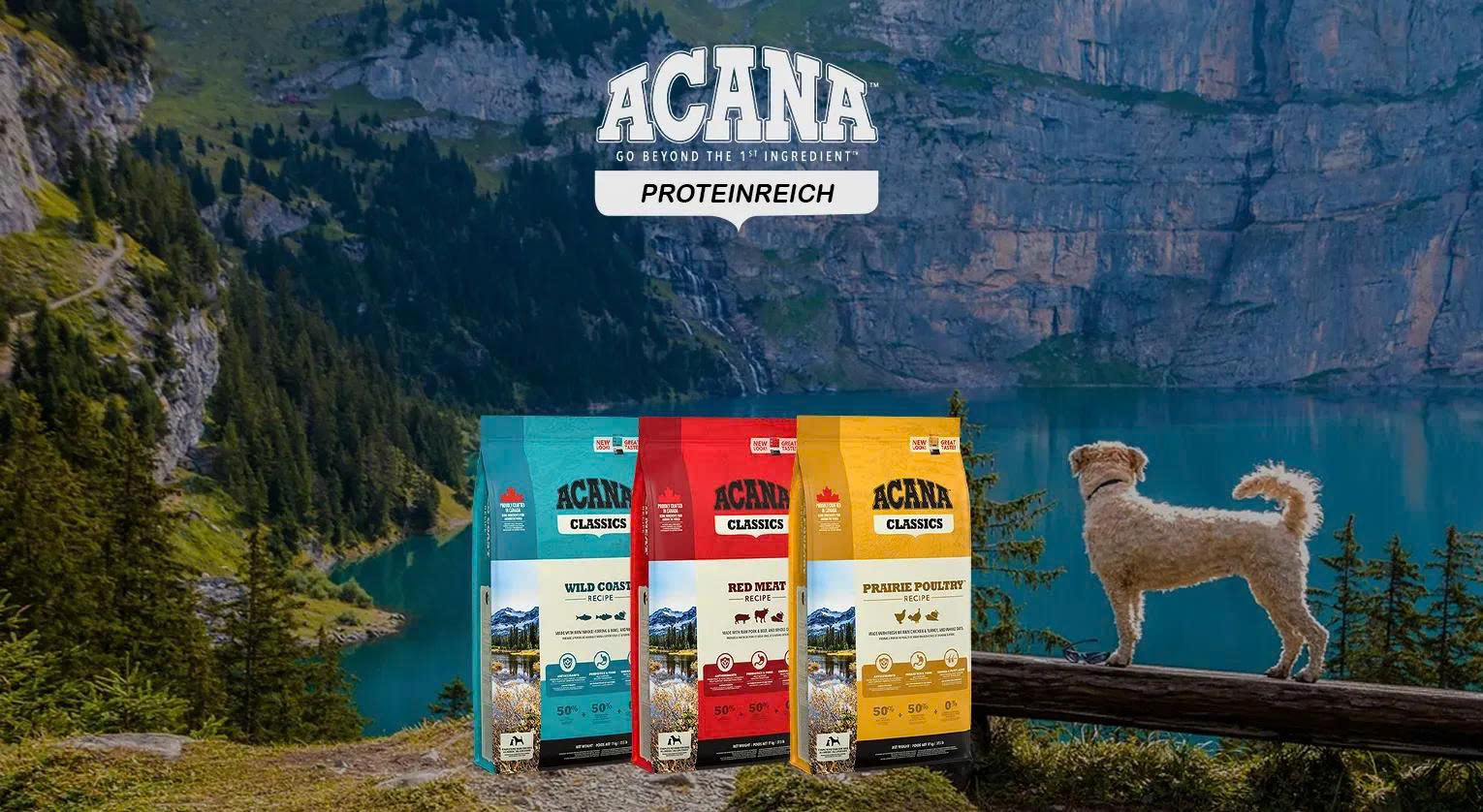 ROYAL CANIN Store -ROYAL CANIN Store z6642184373921 d66643cabb9cfc3ef6c242f3b299aeaf